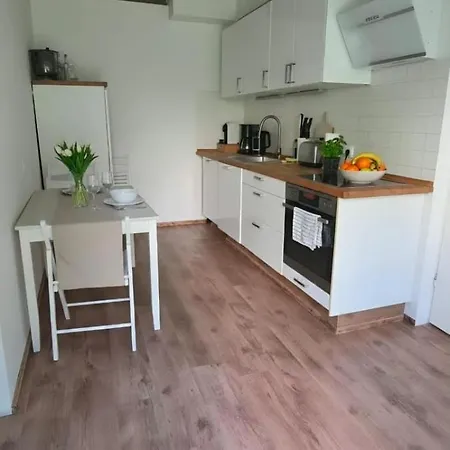 Duplex Garden Loft 公寓 锡格堡
