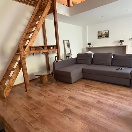 Duplex Garden Loft 公寓 锡格堡
